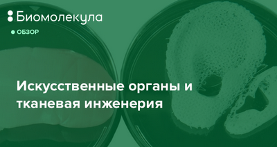 ученый ученый