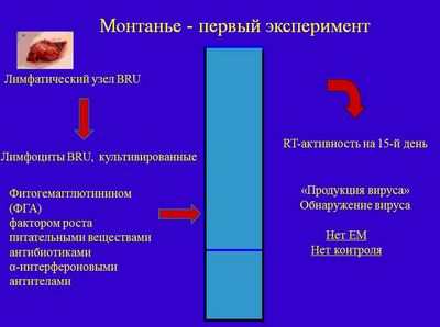 вирус вирус