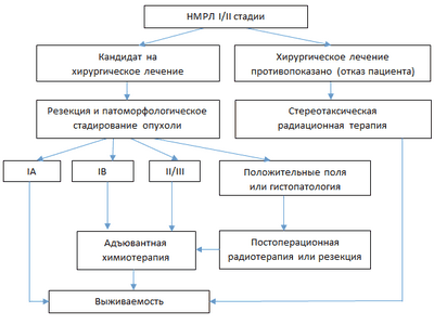 Исследования предлагают возможное новое лечение EGFR-положительного рака легких